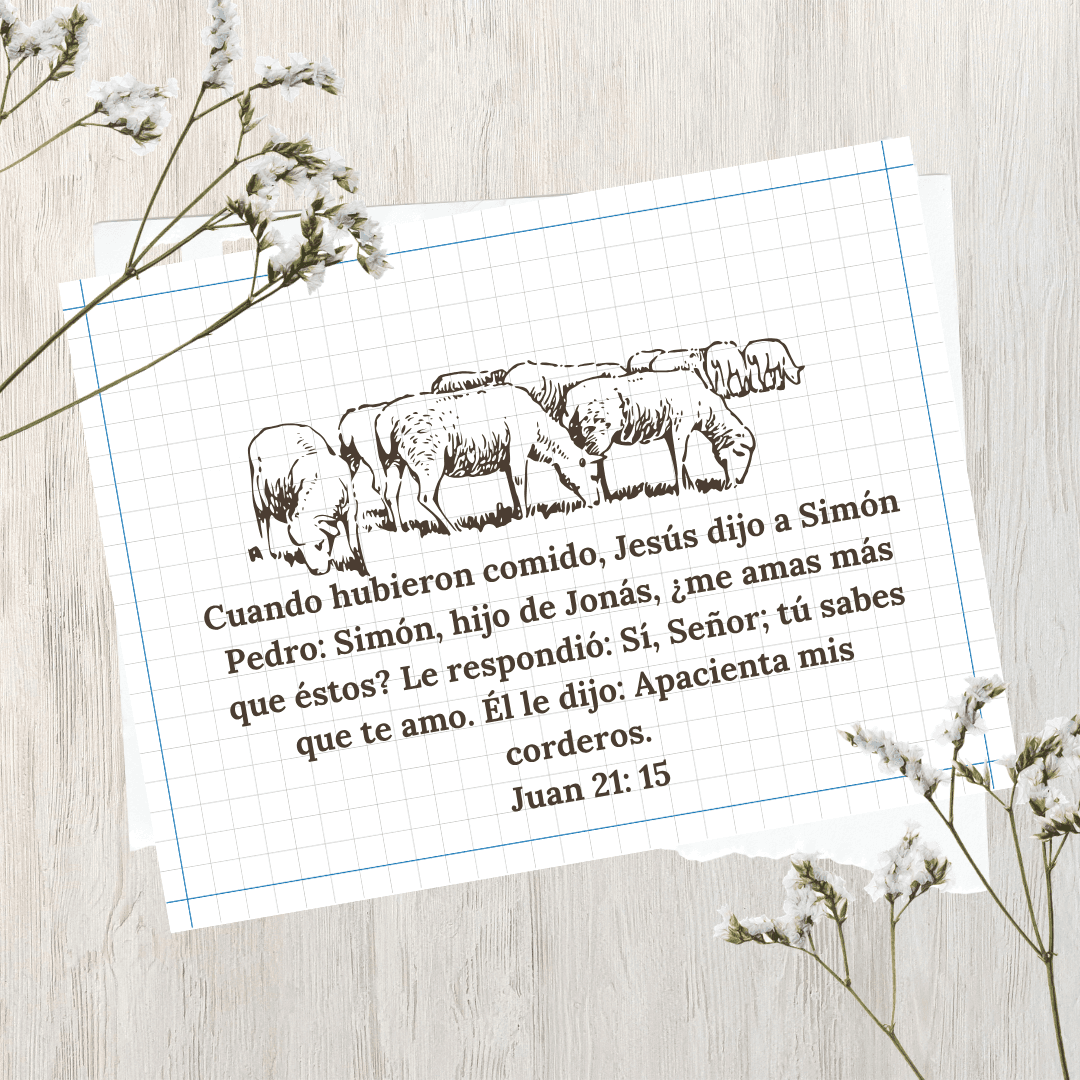 Versículo bíblico Juan 21:15